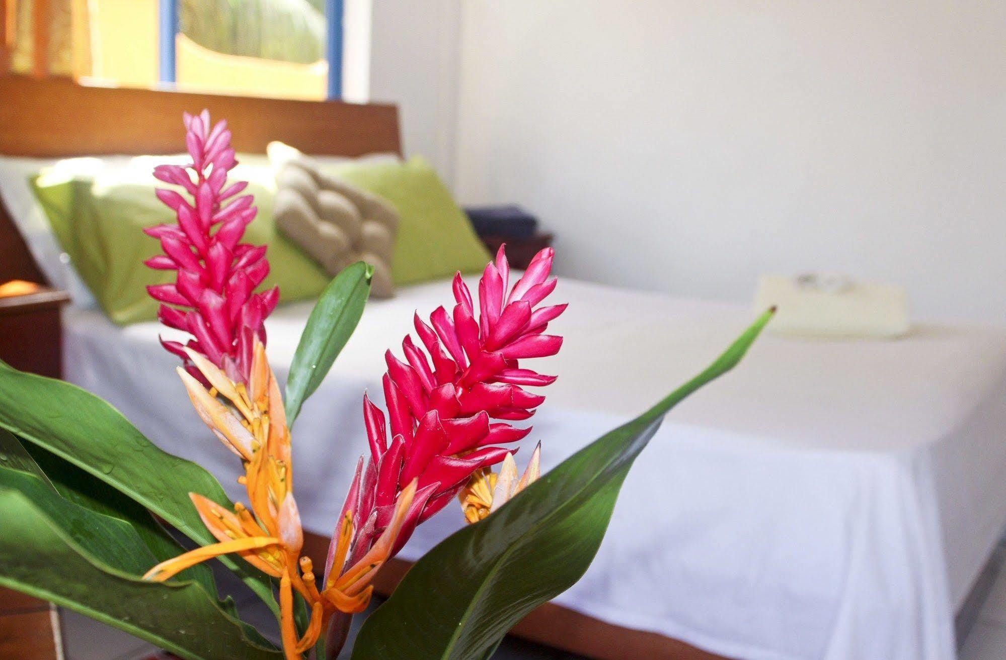 Vicky'S Holiday Apartment Vịnh Beau Vallon Ngoại thất bức ảnh